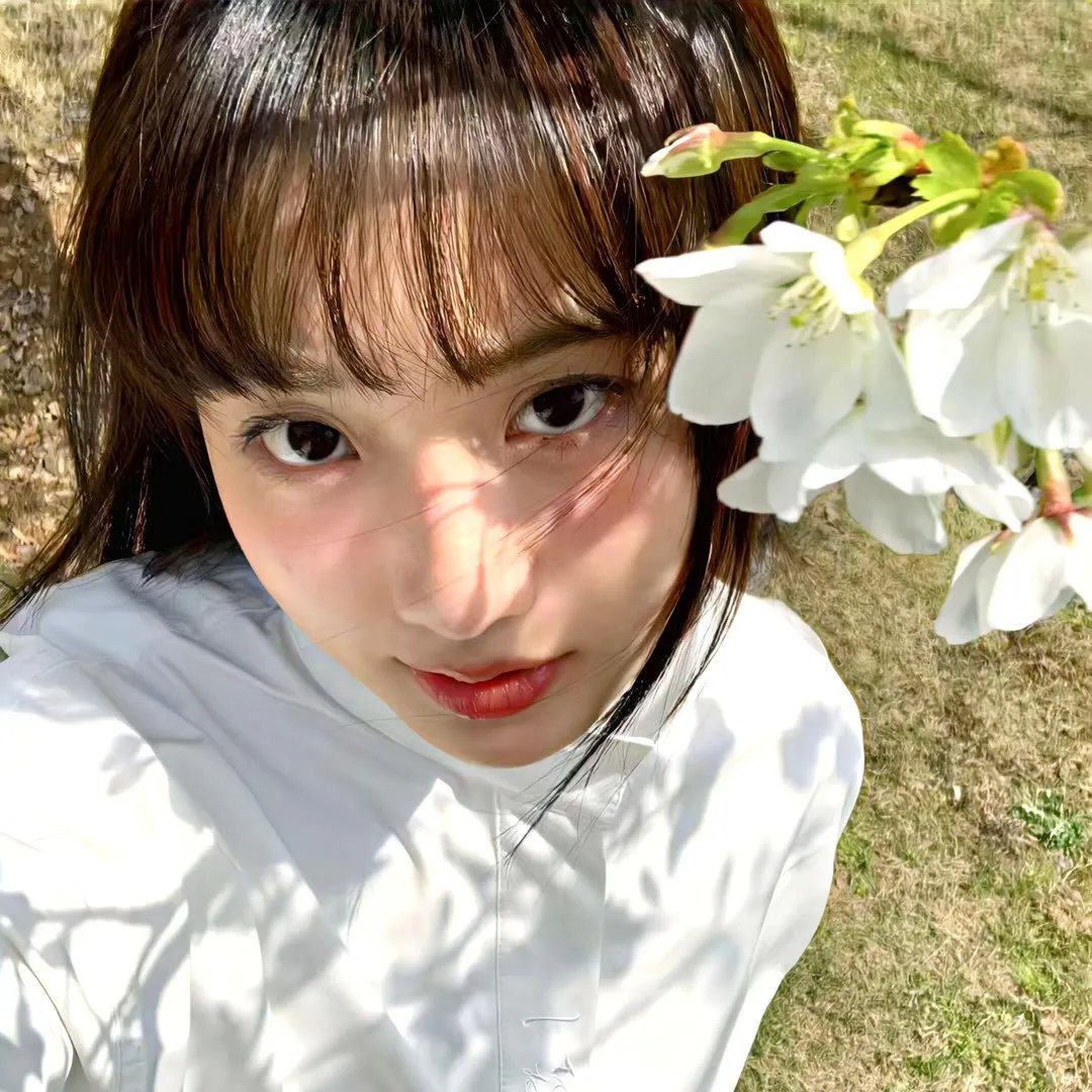 恐龙蛋